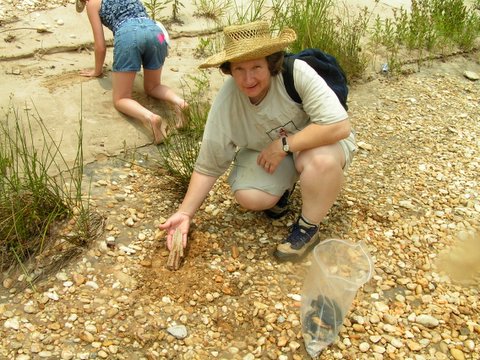 hunting fossil wood by creek