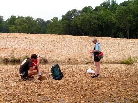 hunting fossil wood by creek