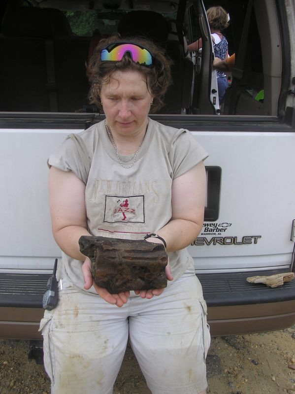 large piece of fossil wood