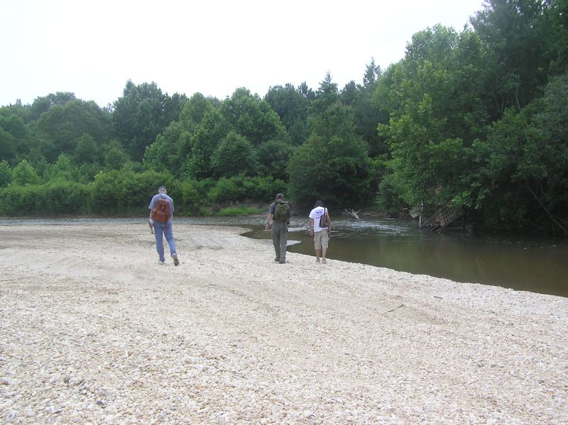 hunting fossil wood by creek
