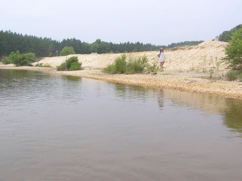 hunting fossil wood by creek
