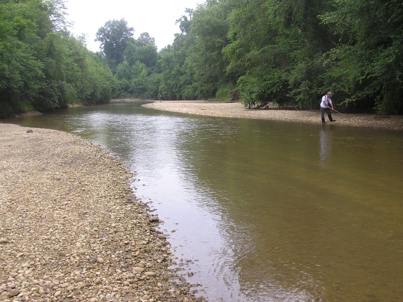 hunting fossil wood by creek